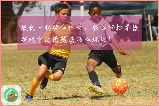 跟我一起玩华体会，教你轻松掌握游戏中的隐藏技巧和玩法！