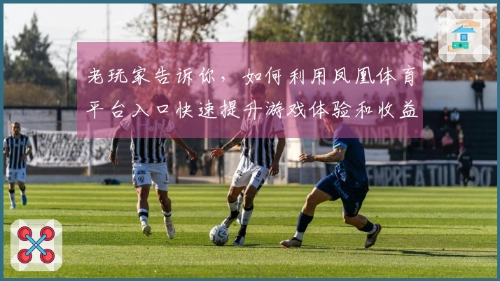 老玩家告诉你，如何利用凤凰体育平台入口快速提升游戏体验和收益